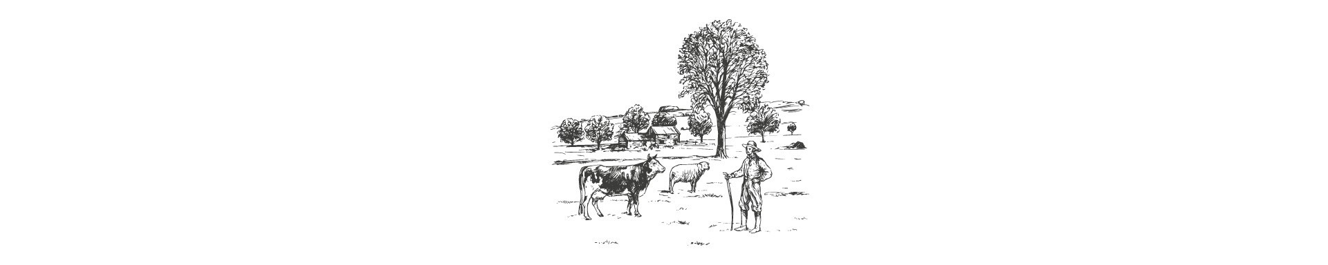 El largo caminar de los pastores