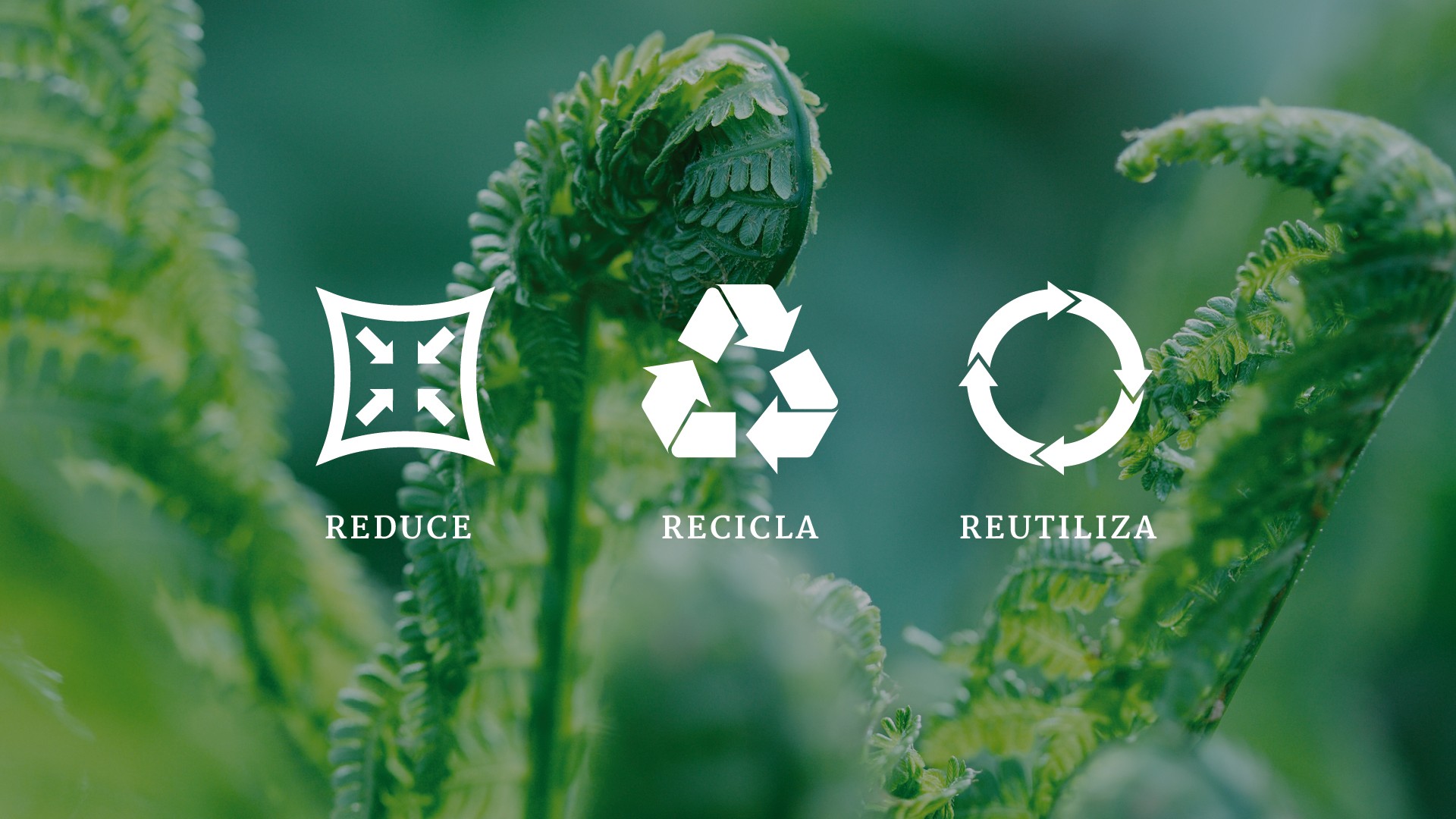 3R: reducir, reutilizar y reciclar