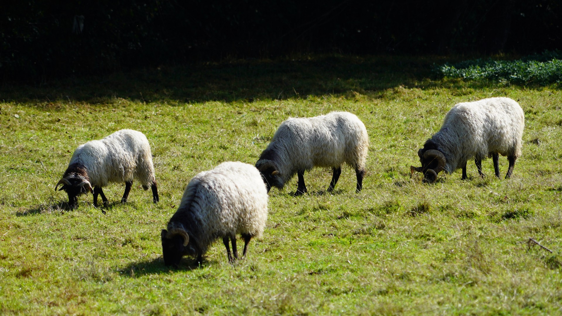 El valor de la vida rural