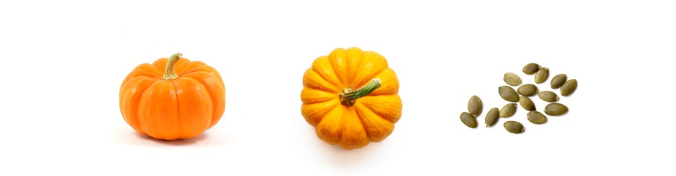 Los placeres gastronómicos del otoño