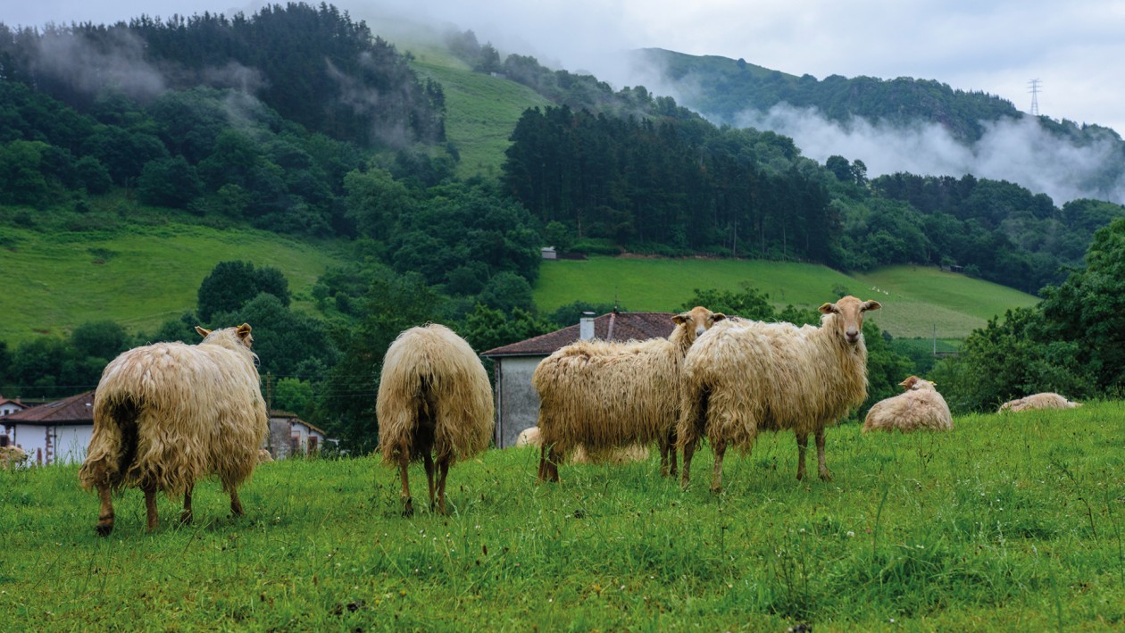 3R: reducir, reutilizar y reciclar