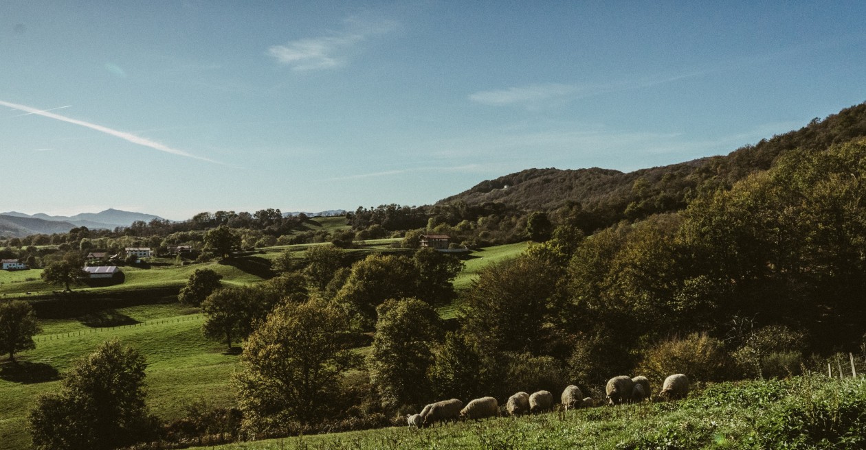 Oficios y utensilios tradicionales