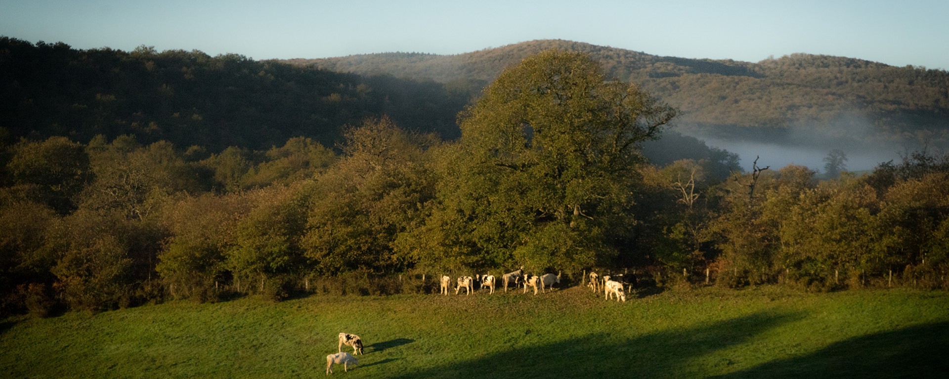 El largo caminar de los pastores