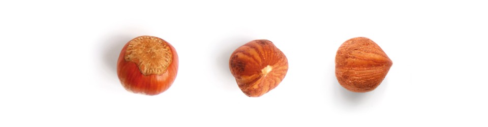 Los placeres gastronómicos del otoño