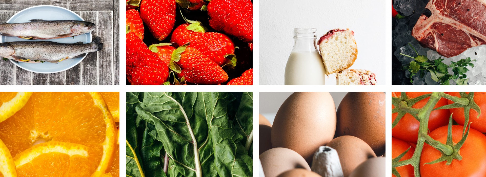 ¡La comida real toma la palabra!