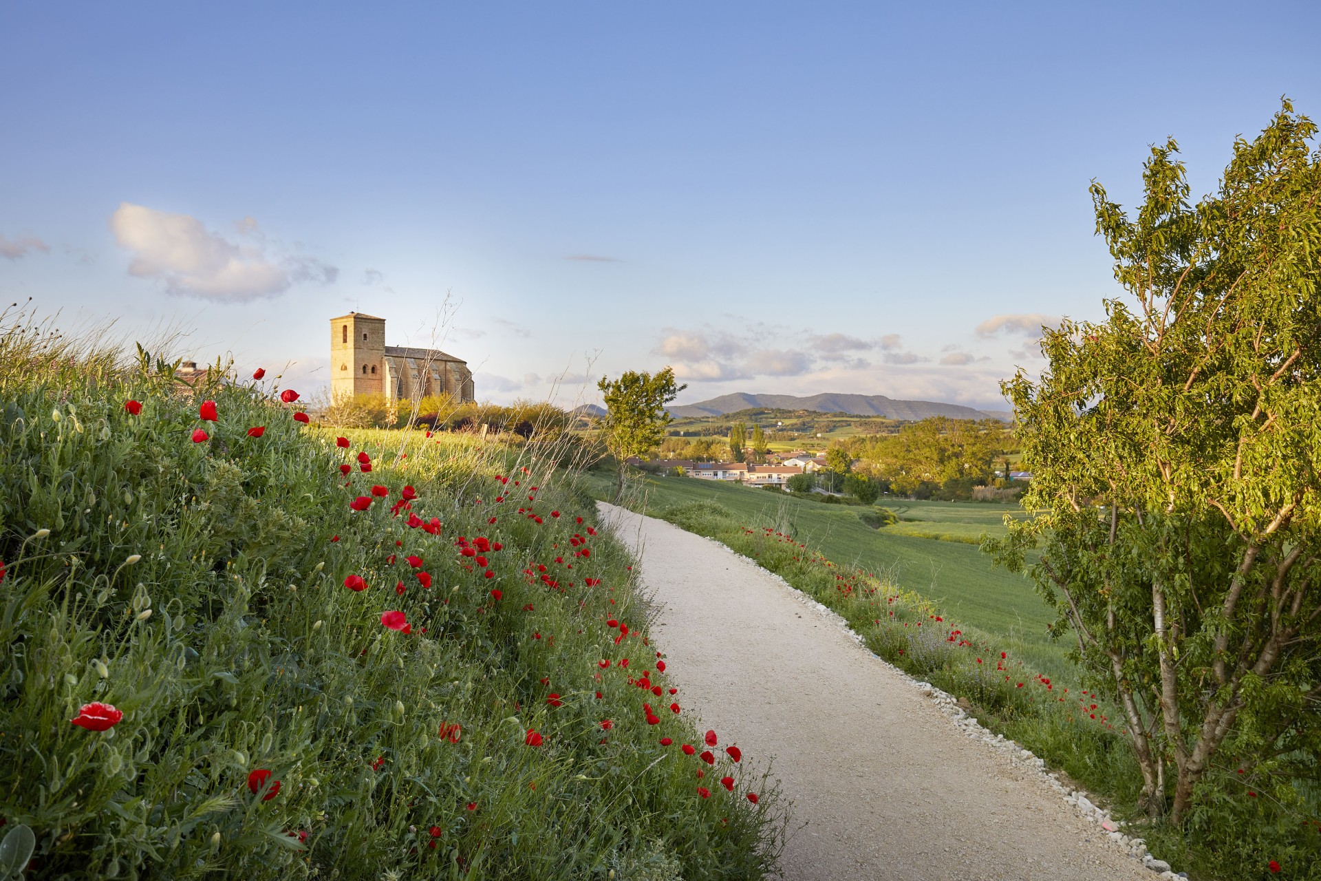 Navarra, puerta del Camino de Santiago