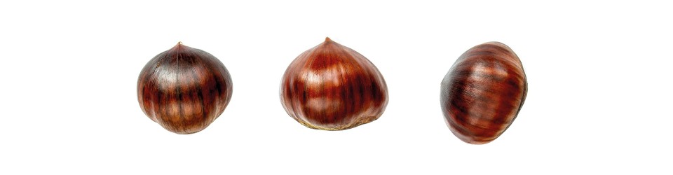 Los placeres gastronómicos del otoño