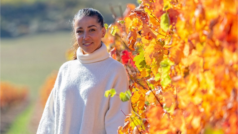 JoannArtieda: el arte de la cocina dulce