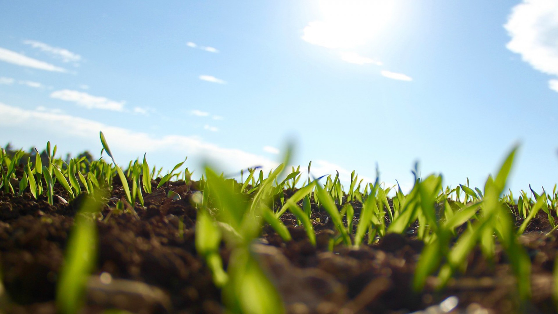 Elige productos de proximidad