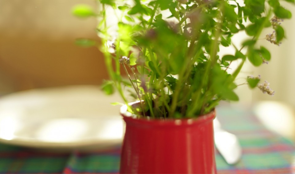 DECORAR LA MESA ES TENDENCIA