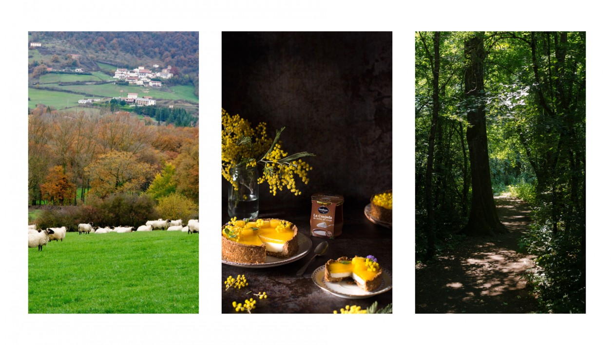 Dulces Tendencias 2024