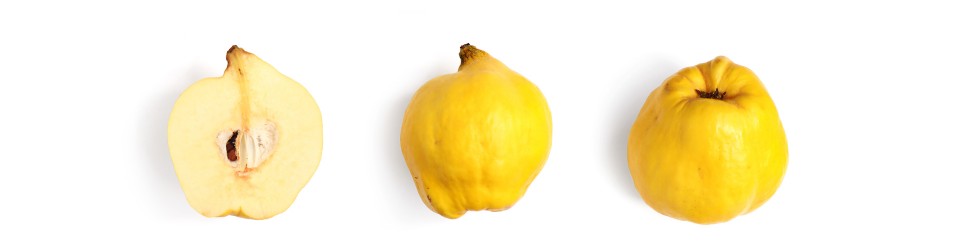 Los placeres gastronómicos del otoño