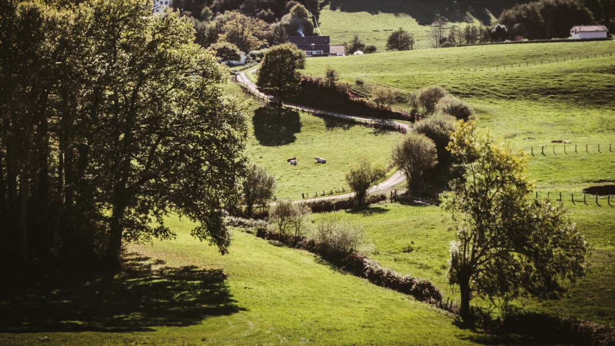 POSTRES AUTÉNTICOS Y SOSTENIBLES