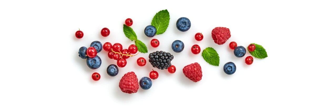 ¡LA EXPLOSIÓN DE LA PRIMAVERA!